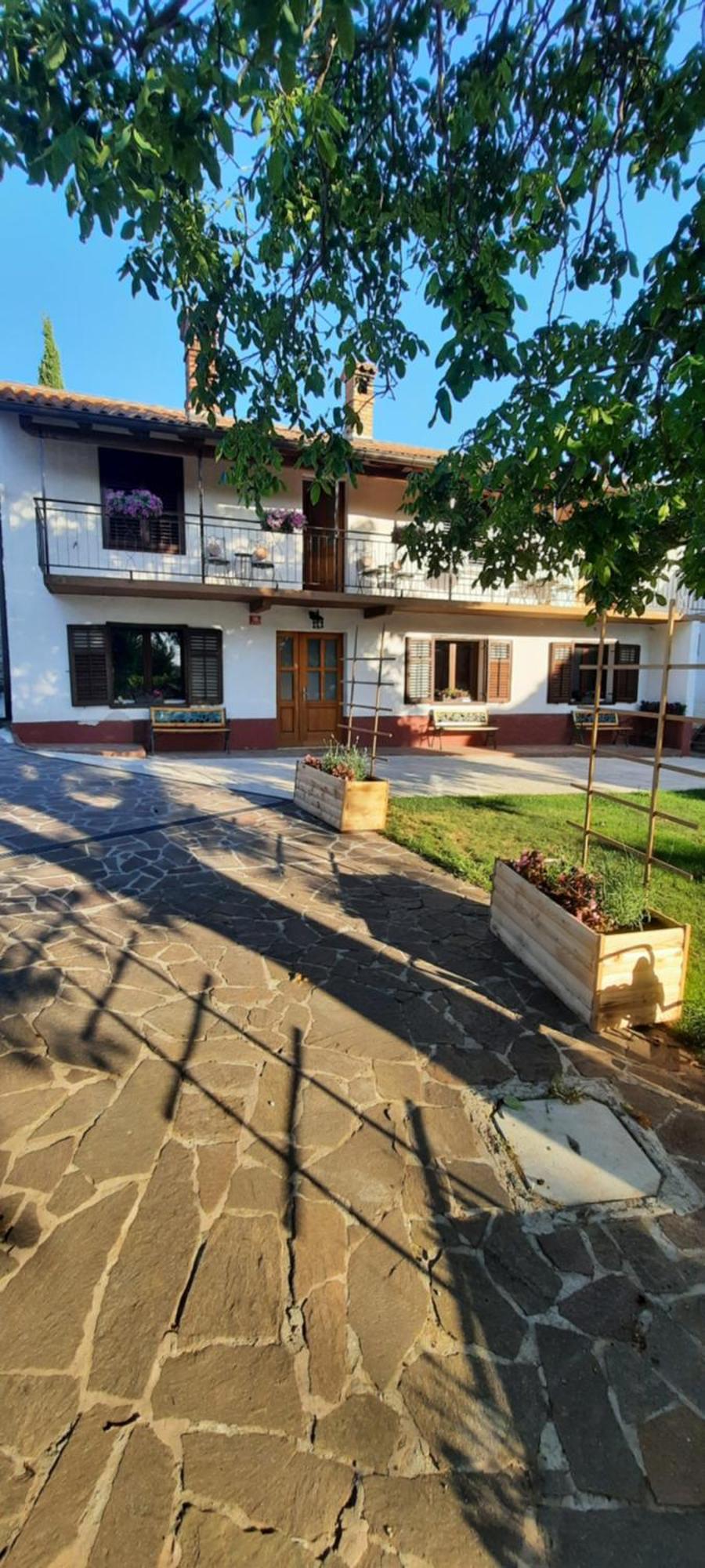 Sežana Apartma Brina 3 מראה חיצוני תמונה